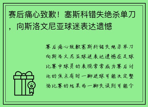 赛后痛心致歉！塞斯科错失绝杀单刀，向斯洛文尼亚球迷表达遗憾